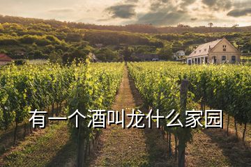 有一個(gè)酒叫龍什么家園