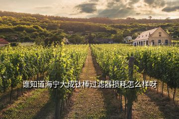 誰知道海寧大成鈦棒過濾器損耗怎么樣呀