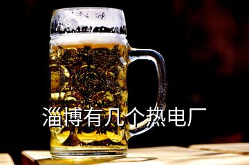 淄博有幾個(gè)熱電廠