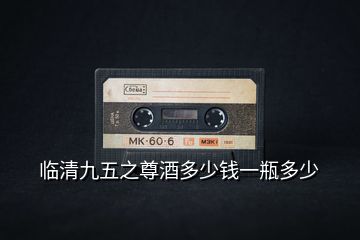 臨清九五之尊酒多少錢(qián)一瓶多少