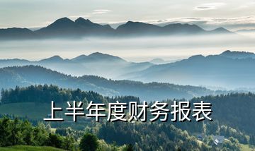 上半年度財務(wù)報表