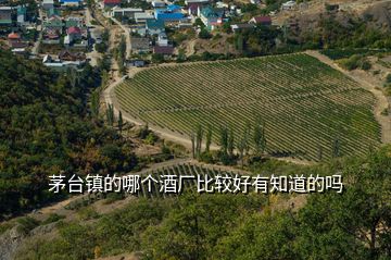 茅臺鎮(zhèn)的哪個酒廠比較好有知道的嗎