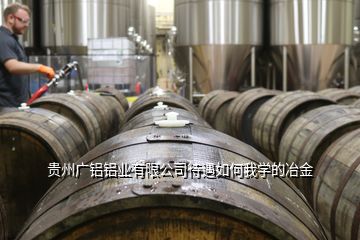 貴州廣鋁鋁業(yè)有限公司待遇如何我學的冶金
