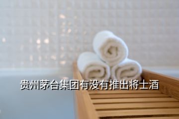 貴州茅臺(tái)集團(tuán)有沒(méi)有推出將士酒