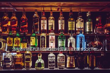 湯溝酒業(yè)冠名的湯溝國藏2019中國灌云豆丹美食文化節(jié)什么