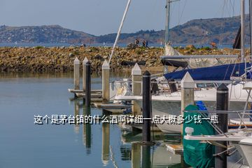 這個(gè)是茅臺鎮(zhèn)的什么酒啊詳細(xì)一點(diǎn)大概多少錢一瓶