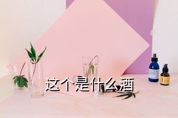 這個是什么酒