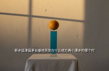 新鄉(xiāng)延津縣茅臺基地具體在什么地方再小潭鄉(xiāng)的哪個(gè)村