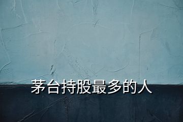 茅臺持股最多的人