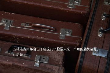五糧液貴州茅臺(tái)口子窖這幾個(gè)股票未來(lái)一個(gè)月的趨勢(shì)會(huì)漲還是會(huì)