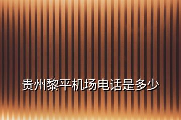 貴州黎平機(jī)場(chǎng)電話是多少