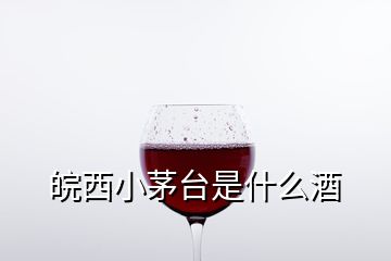 皖西小茅臺是什么酒
