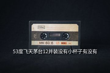 53度飛天茅臺(tái)12并裝沒(méi)有小杯子有沒(méi)有
