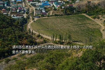 請(qǐng)問(wèn)各位酒友們買(mǎi)什么白酒比較好最好是上檔次一點(diǎn)的但是也不要像茅臺(tái)