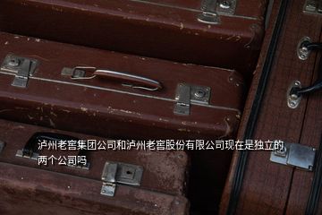 瀘州老窖集團(tuán)公司和瀘州老窖股份有限公司現(xiàn)在是獨(dú)立的兩個公司嗎