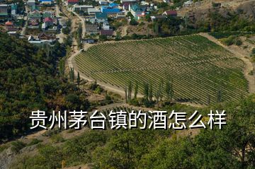 貴州茅臺鎮(zhèn)的酒怎么樣