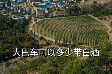 大巴車可以多少帶白酒