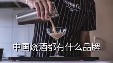 中國(guó)燒酒都有什么品牌