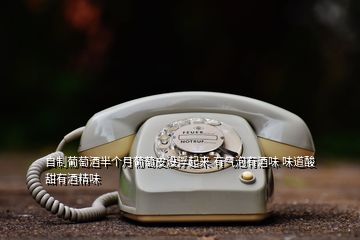 自制葡萄酒半個(gè)月葡萄皮沒(méi)浮起來(lái) 有氣泡有酒味 味道酸 甜有酒精味