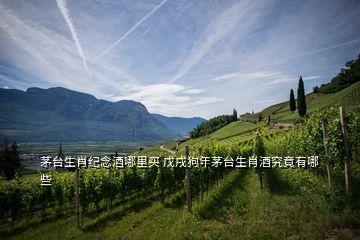 茅臺生肖紀念酒哪里買 戊戌狗年茅臺生肖酒究竟有哪些