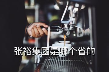 張?jiān)<瘓F(tuán)是哪個(gè)省的