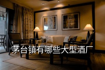茅臺(tái)鎮(zhèn)有哪些大型酒廠(chǎng)
