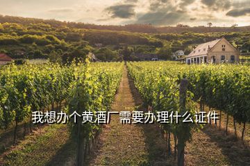我想辦個(gè)黃酒廠需要辦理什么證件