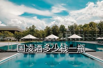 國凌酒多少錢一瓶