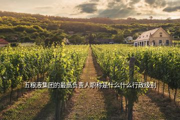 五糧液集團(tuán)的最高負(fù)責(zé)人職稱是什么什么行政級別