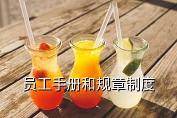 員工手冊和規(guī)章制度