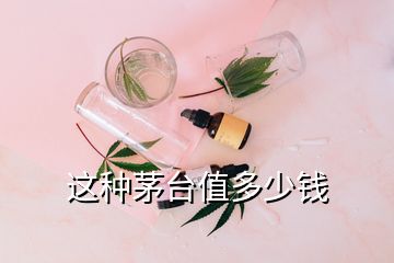 這種茅臺(tái)值多少錢