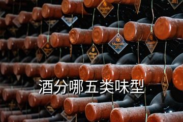 酒分哪五類味型