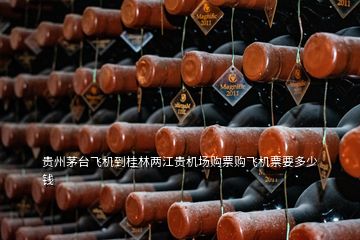 貴州茅臺(tái)飛機(jī)到桂林兩江貴機(jī)場(chǎng)購(gòu)票購(gòu)飛機(jī)票要多少錢