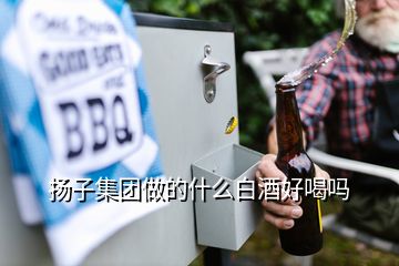 揚(yáng)子集團(tuán)做的什么白酒好喝嗎