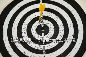 紅曲酒發(fā)酵一個月酒醅為什么不下沉