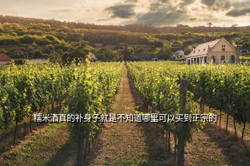 糯米酒真的補身子就是不知道哪里可以買到正宗的
