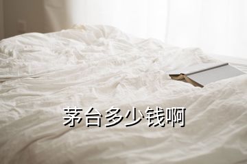 茅臺(tái)多少錢(qián)啊