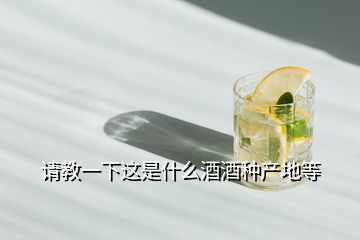 請(qǐng)教一下這是什么酒酒種產(chǎn)地等