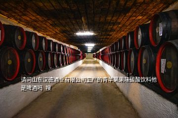 請問山東漢德酒業(yè)有限公司生產(chǎn)的青蘋果果味碳酸飲料他是啤酒嗎  搜