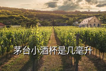 茅臺(tái)小酒杯是幾毫升