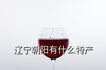 遼寧朝陽有什么特產