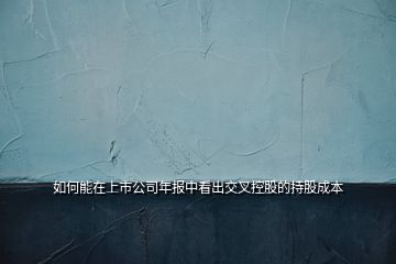 如何能在上市公司年報中看出交叉控股的持股成本