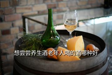 想嘗嘗養(yǎng)生酒老年人喝的酒哪種好