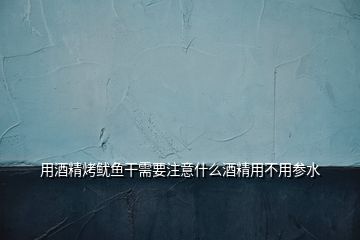 用酒精烤魷魚干需要注意什么酒精用不用參水