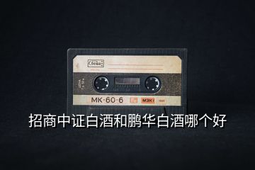 招商中證白酒和鵬華白酒哪個(gè)好