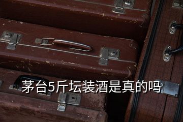 茅臺(tái)5斤壇裝酒是真的嗎
