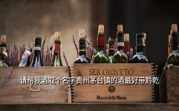 請(qǐng)幫我酒取個(gè)名字貴州茅臺(tái)鎮(zhèn)的酒最好帶黔乾
