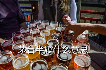 茅臺(tái)半膜什么意思