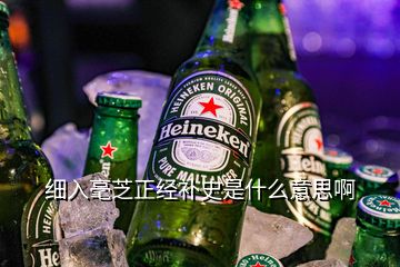 細入毫芝正經補史是什么意思啊