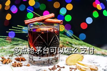 多點搶茅臺可以怎么支付